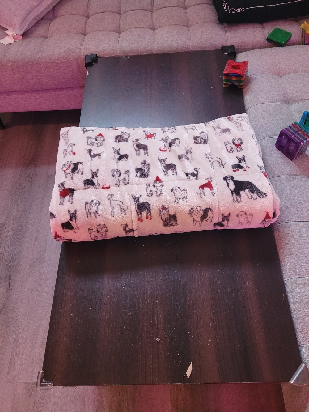 Plush Dog Print Throw Blanket - White